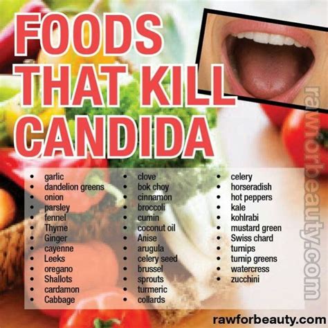 Candida | Candida diet recipes, Candida diet, Candida cleanse