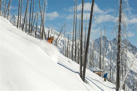 Chatter Creek Cat-Skiing | Real Mountain Experience in Golden, BC