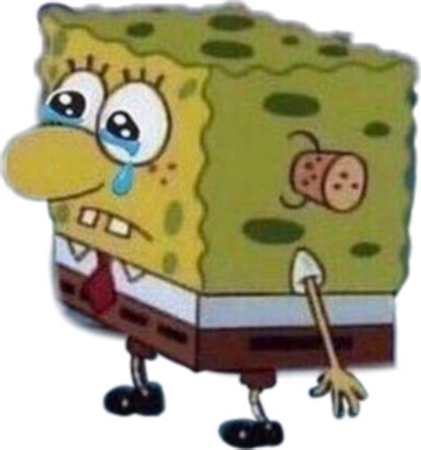 0 Result Images of Spongebob Crying Meme Png - PNG Image Collection