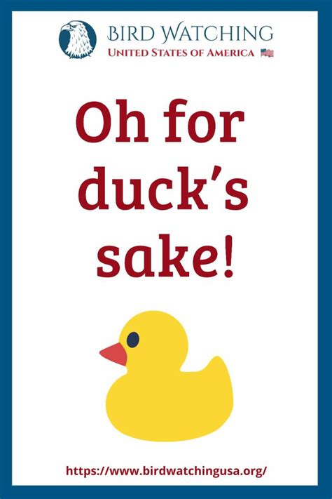 51 Funny Duck Puns & Pictures to Make You Smile!