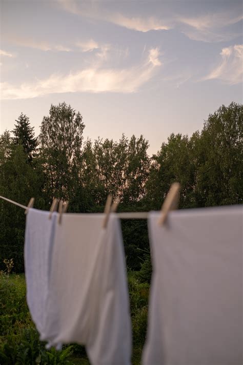 Clothes Line Photos, Download The BEST Free Clothes Line Stock Photos ...