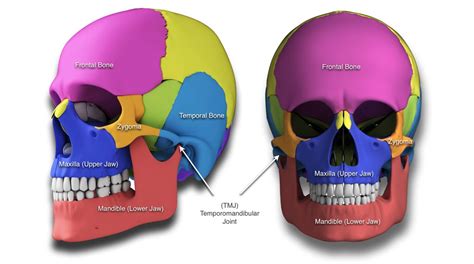 Syndromes - Craniofacial Deformities - Dell Children's Craniofacial ...