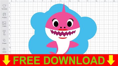 Baby Shark Outline Svg - 254+ Best Free SVG File