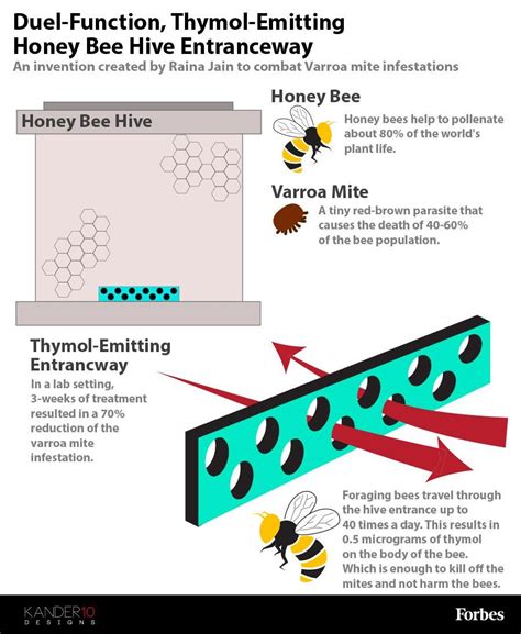 Honey Bee Mite Treatment