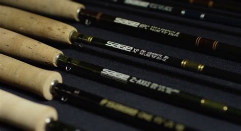 Sage Fly Rods: Everything You Need to Know - Into Fly Fishing