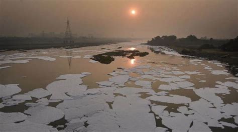 Yamuna river: Delhi bans soaps, detergents not conforming to latest BIS ...