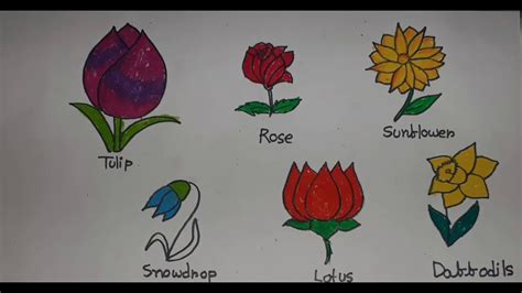 Flowers Drawing Images With Names | Best Flower Site