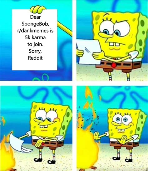 SpongeBob Meme : r/SpongebobMemes