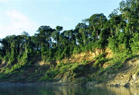 Manú National Park and Biosphere Reserve (Peru) | LAC Geo