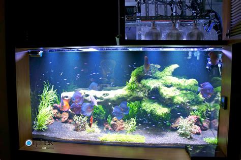 Planted freshwater aquarium lighting •Orphek