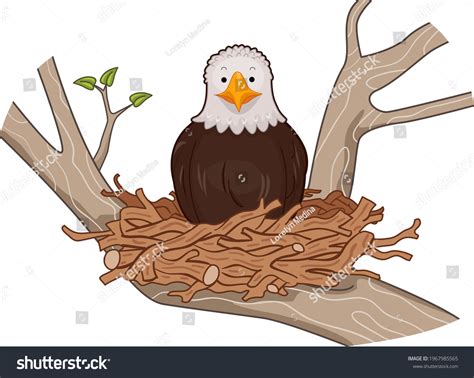 745 Eagles Nest Vector Images, Stock Photos & Vectors | Shutterstock