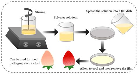 Recent Advances in Bio-Based Smart Active Packaging Materials