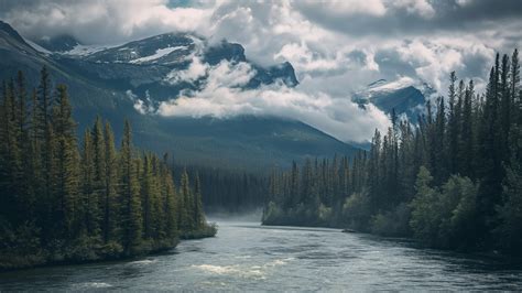 Mountains Wallpaper (Trees, Pines) #5526