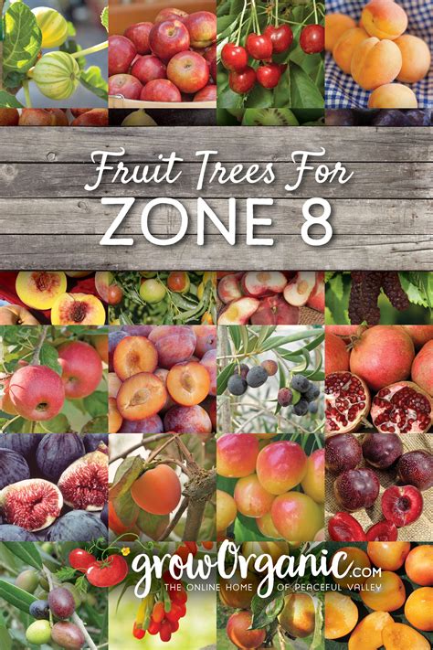 Usda zones – Artofit