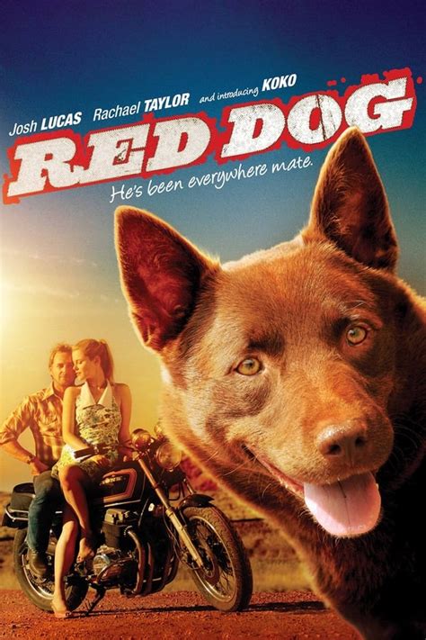 Red Dog (2011) — The Movie Database (TMDb)