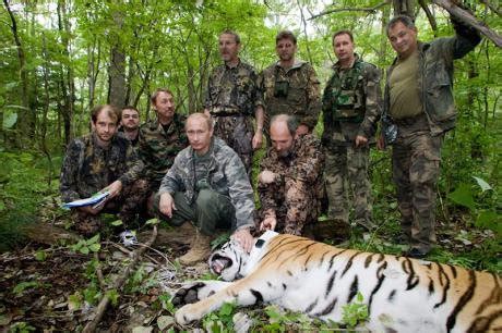 Where has all the wildlife gone in Siberia? | openDemocracy