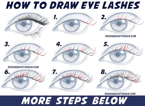 How to Draw Eyelashes (Women’s and Men’s) Easy Step by Step Drawing ...