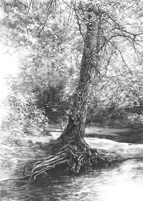 Tree Pencil Drawing