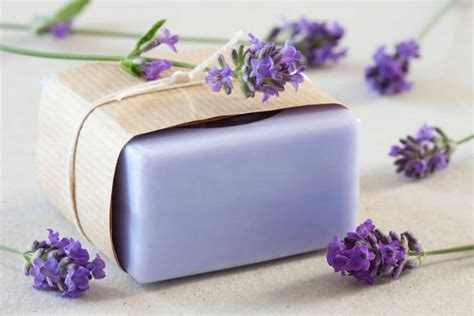 Lavender Soap Benefits for the Skin and the Mind - The Blushing Bliss