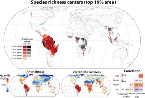 Ants World Map