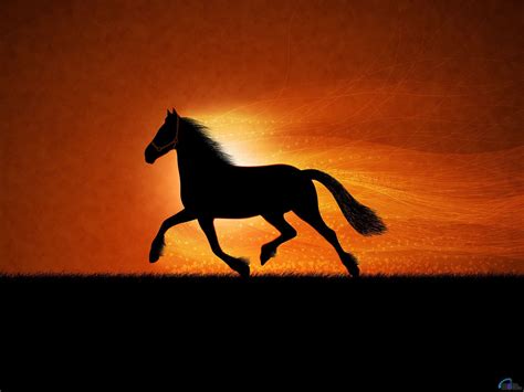 the silhouette of a running horse against an orange sky