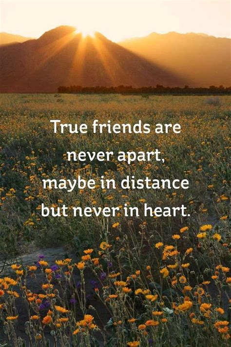 59 True Friendship Quotes - Best Friends Forever Quotes - BoomSumo