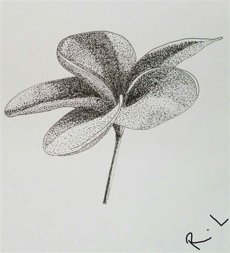 Hand drawing dots and lines. Flower and petal. Gradient tone of dots ...