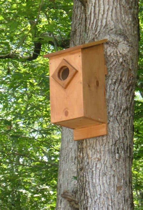 How to Build a Barn Owl Nesting Box: Barn Owl Nest Box Plans - HubPages