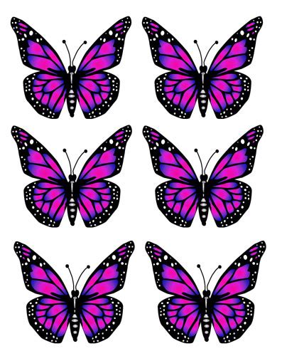 transparent background purple butterfly clipart - Clip Art Library