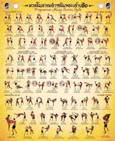 Muay Thai Techniques Poster