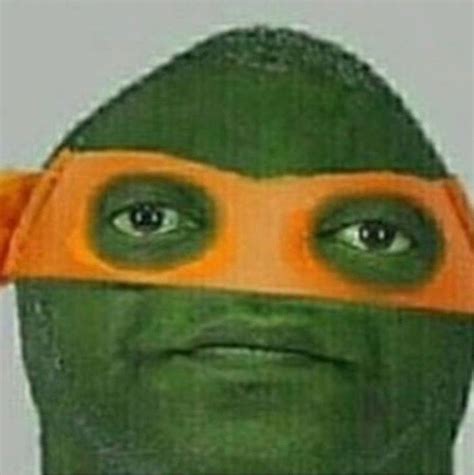 View 19 Ninja Turtle Meme Pfp - greatforeststocks