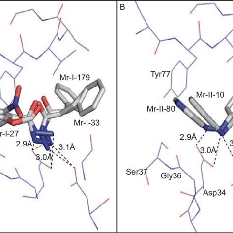 Structures and synthetic data of hydrazide and hydrazine derivatives ...