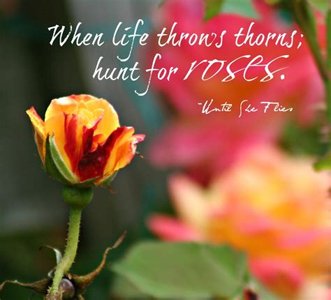 Rose Thorn Quotes. QuotesGram