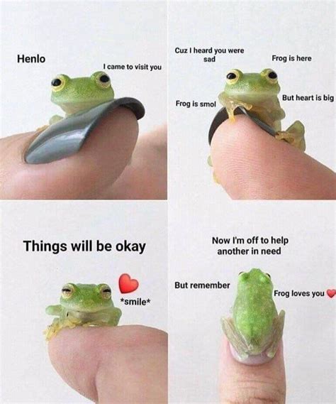 14 Uplifting Frog Memes for a Happiness Boost - Home - Made from the ...