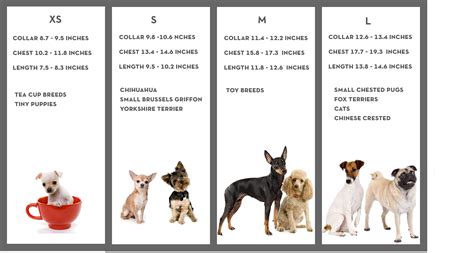 small dog breeds chart list - Dog Breeders Guide