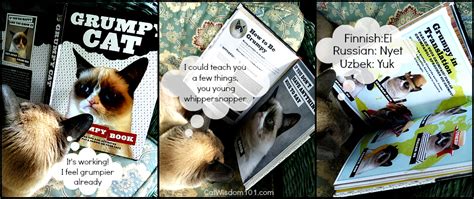 Win the Best-Selling Grumpy Cat Book