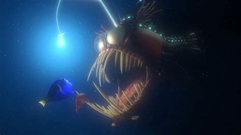 Anglerfish (Finding Nemo) | Fictional Characters Wiki | Fandom