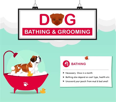 Professional Dog Grooming Tips