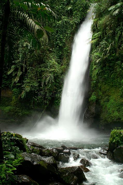 256 Sukabumi Waterfall Stock Photos - Free & Royalty-Free Stock Photos ...