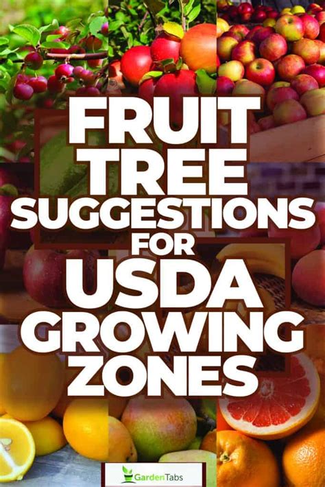 Fruit Tree Suggestions for USDA Growing Zones 1-13