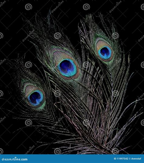 The peacock eyes 1 stock photo. Image of colour, coloured - 11997542