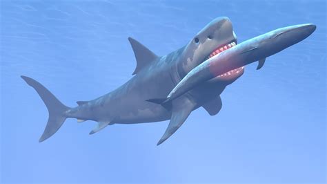 15 Facts About The Megalodon Shark | Mental Floss