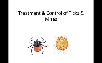 Control-of-ticks-mites-HM-887-week-14 - MSU MediaSpace