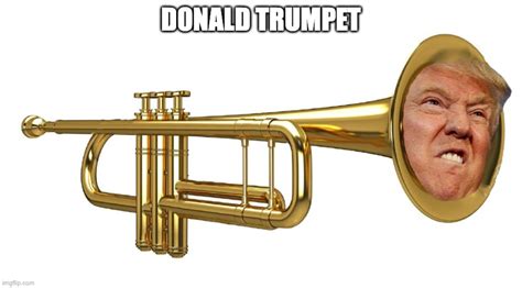 politics donald trumpet Memes & GIFs - Imgflip