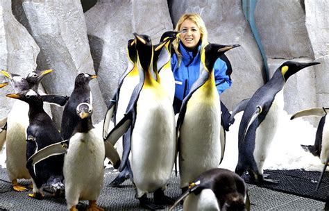 March of the penguins… into Ski Dubai - Arabian Business: Latest News ...