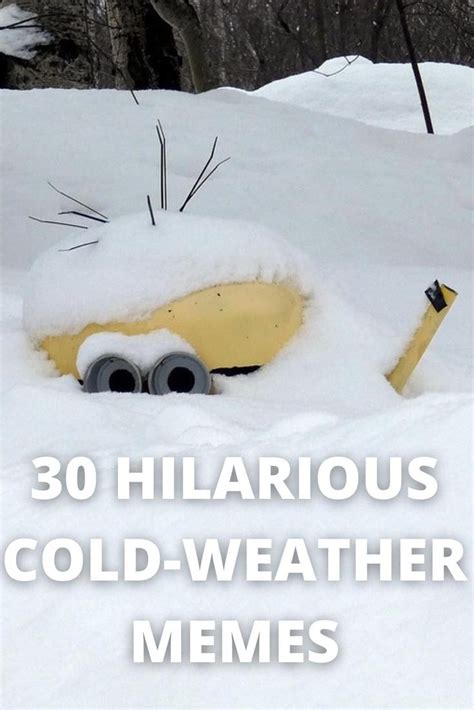 I Have A Cold Memes Funny - macacosmelhorados