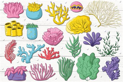 Coral Reef by clipick on @creativemarket Coral Drawing, Ocean Images ...