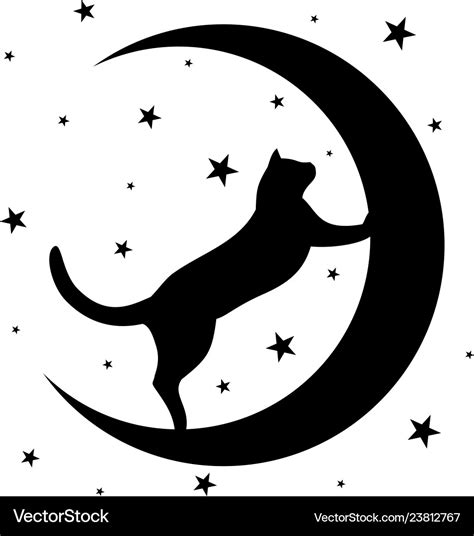 Black cat with moon Royalty Free Vector Image - VectorStock