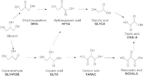 General reaction pathways of glycerol. Reprinted with permission from ...