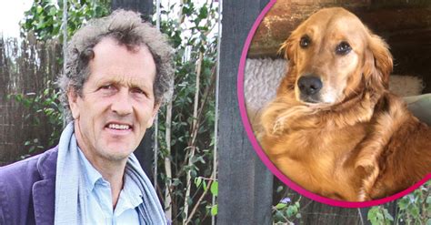 Monty Don reveals dog Nellie 'impaled herself' in freak accident